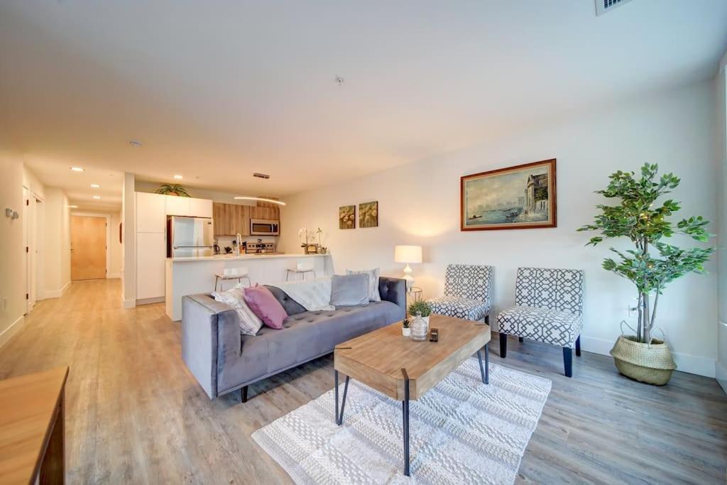 Luxurious Modern 2Br Condo Sleeps 5 Coffee, Ac, Wifi Halifax Buitenkant foto